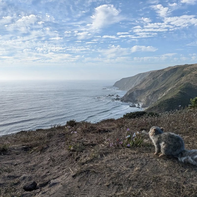 Pineseeker adventure