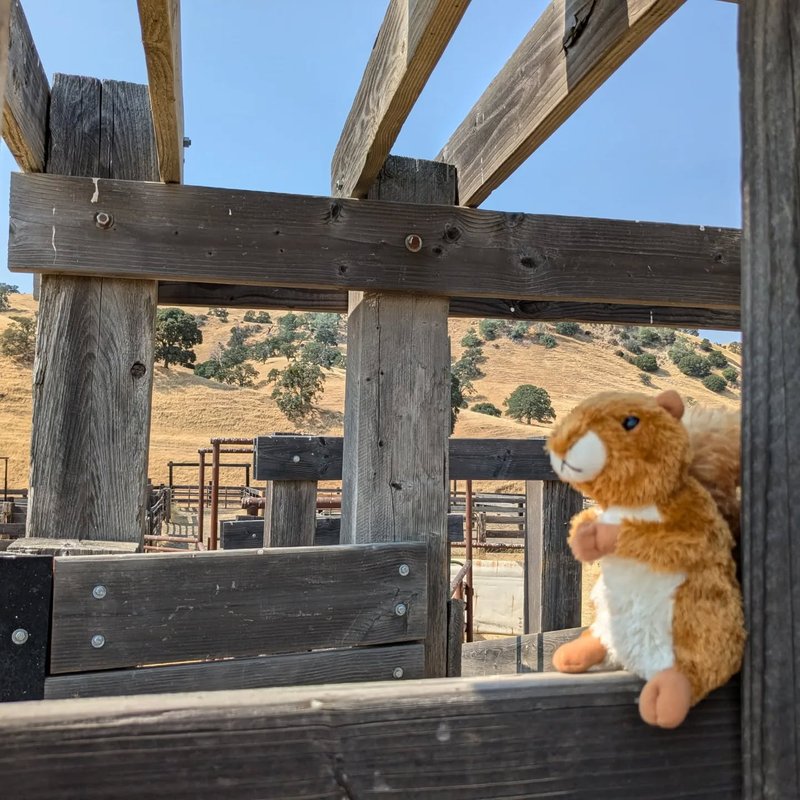 Prospector adventure