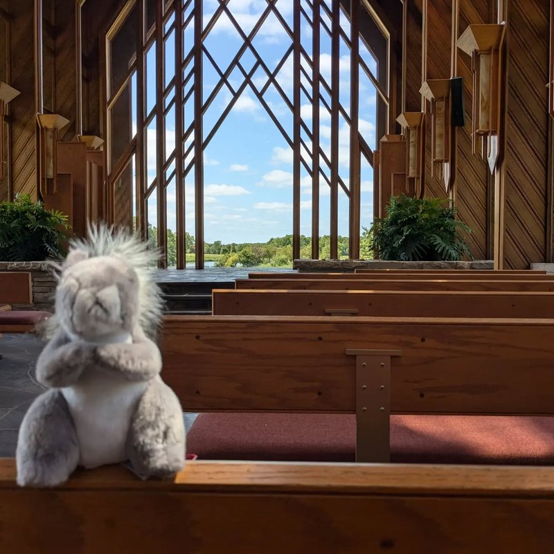 Lady Douglas adventure