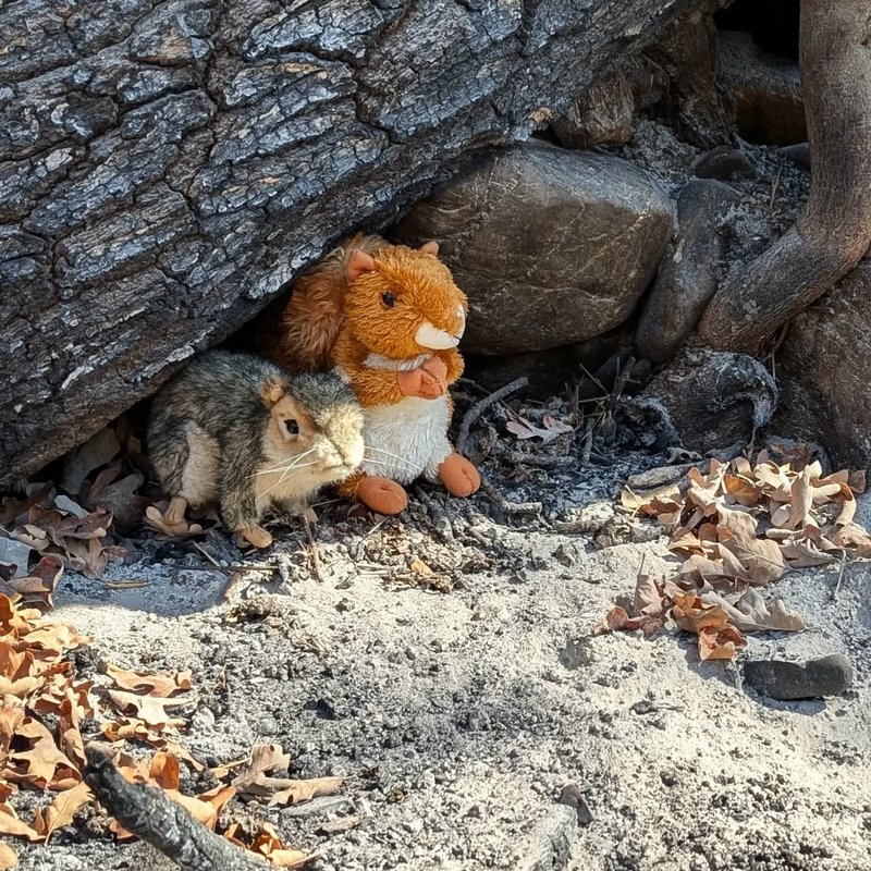 Prospector adventure