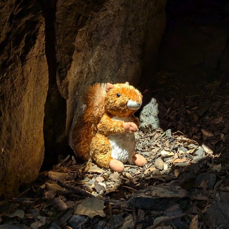 Prospector adventure