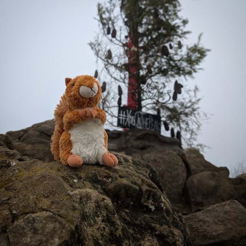 Prospector adventure