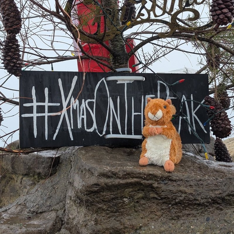 Prospector adventure