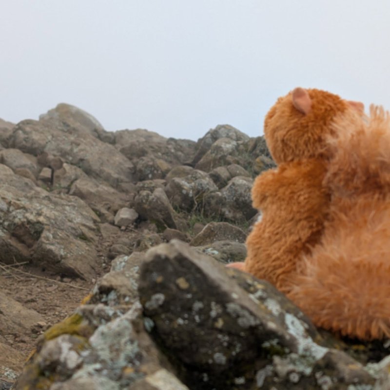 Prospector adventure