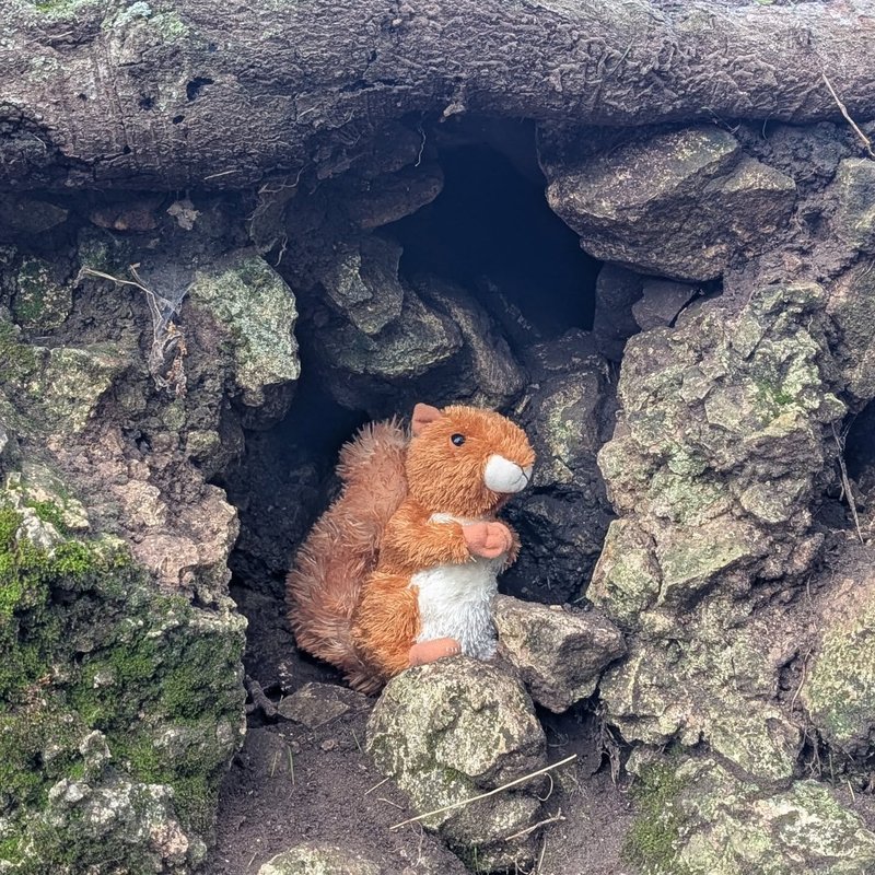 Prospector adventure