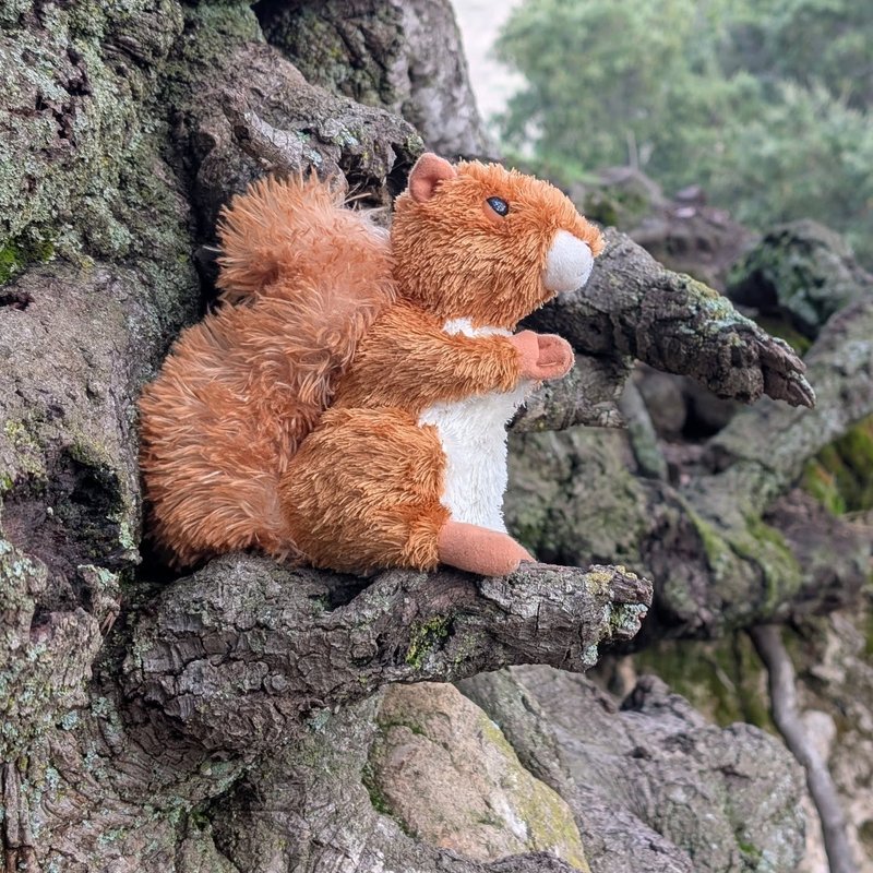 Prospector adventure