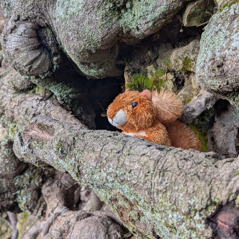 Prospector adventure