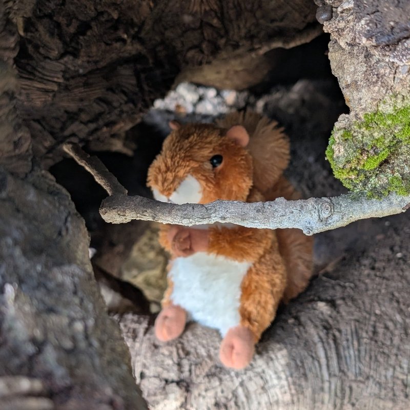 Prospector adventure