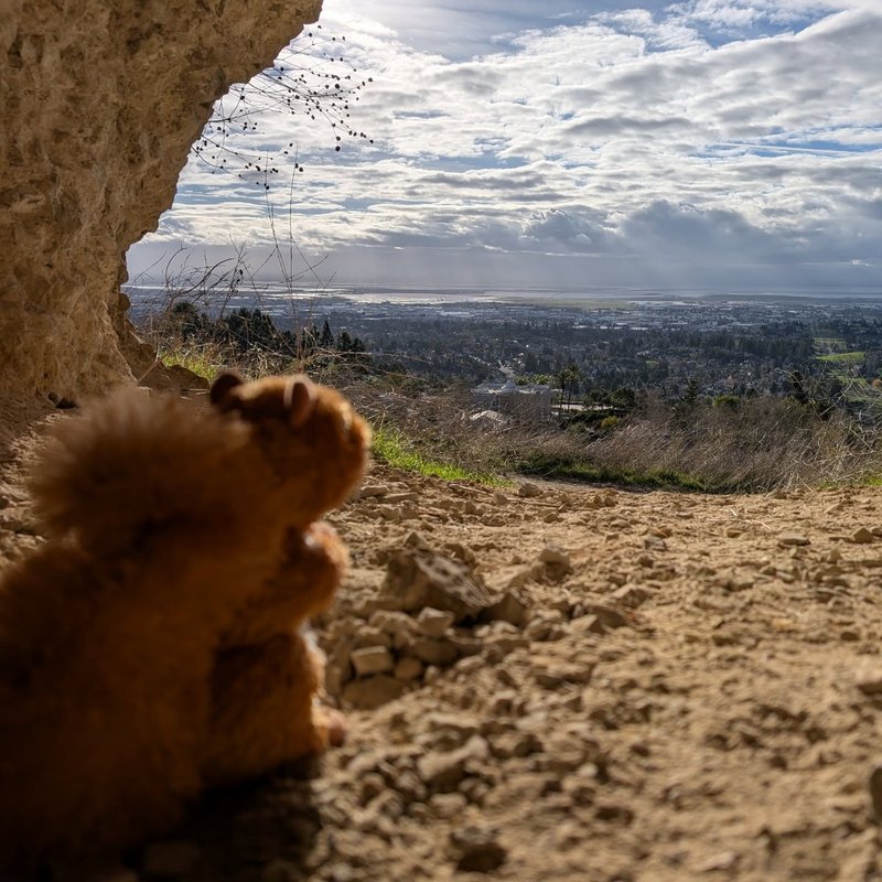 Prospector adventure