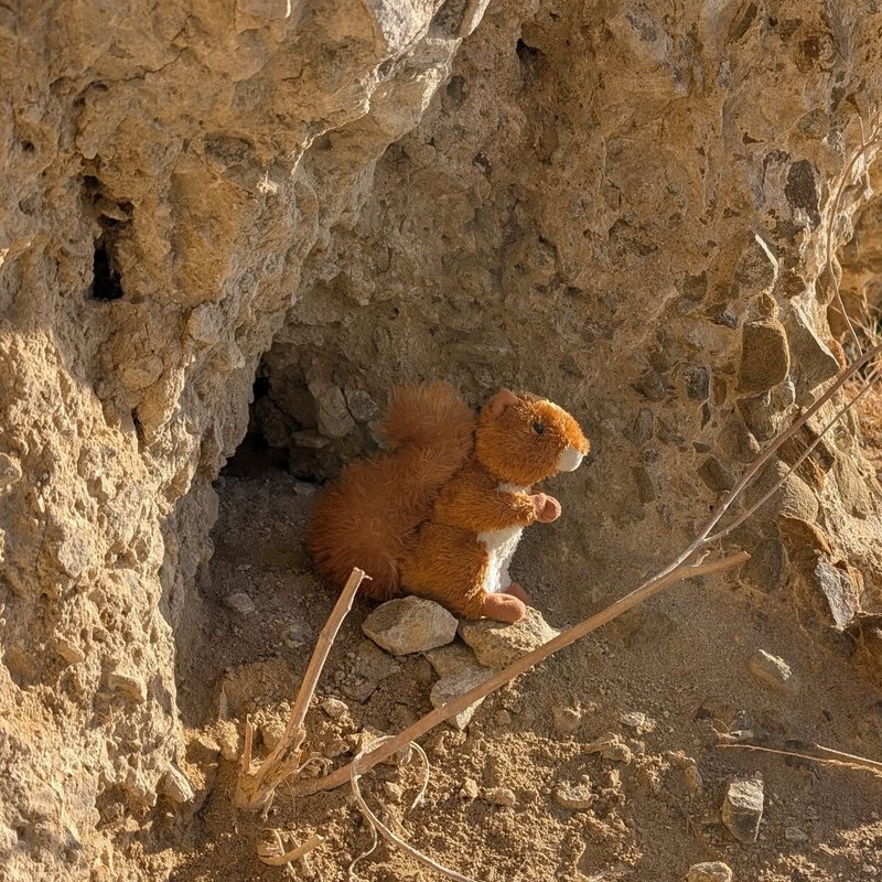 Prospector adventure