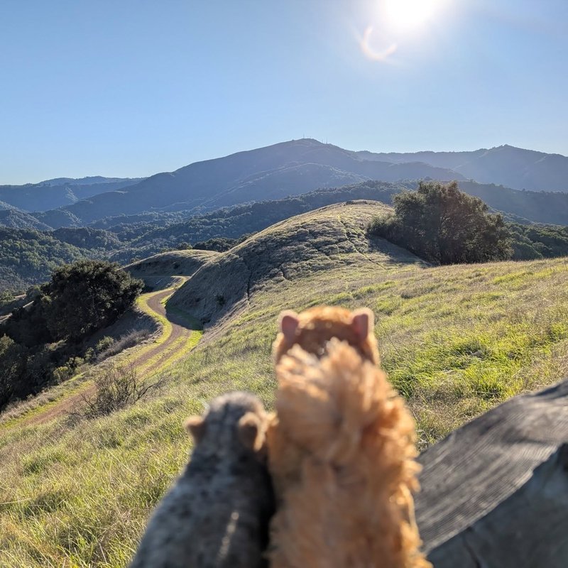 Prospector adventure