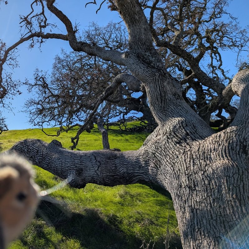 Prospector adventure