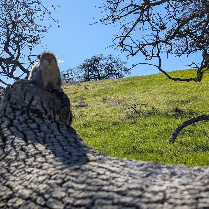 Prospector adventure