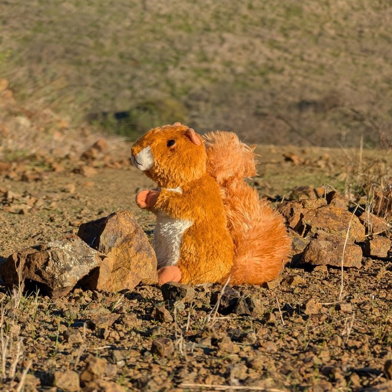 Prospector adventure