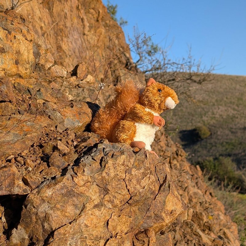 Prospector adventure