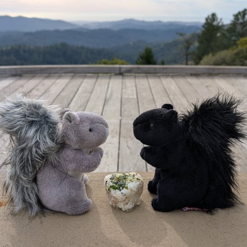 Lady Douglas adventure