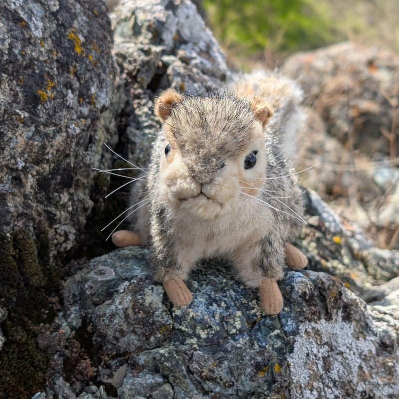 Pineseeker adventure