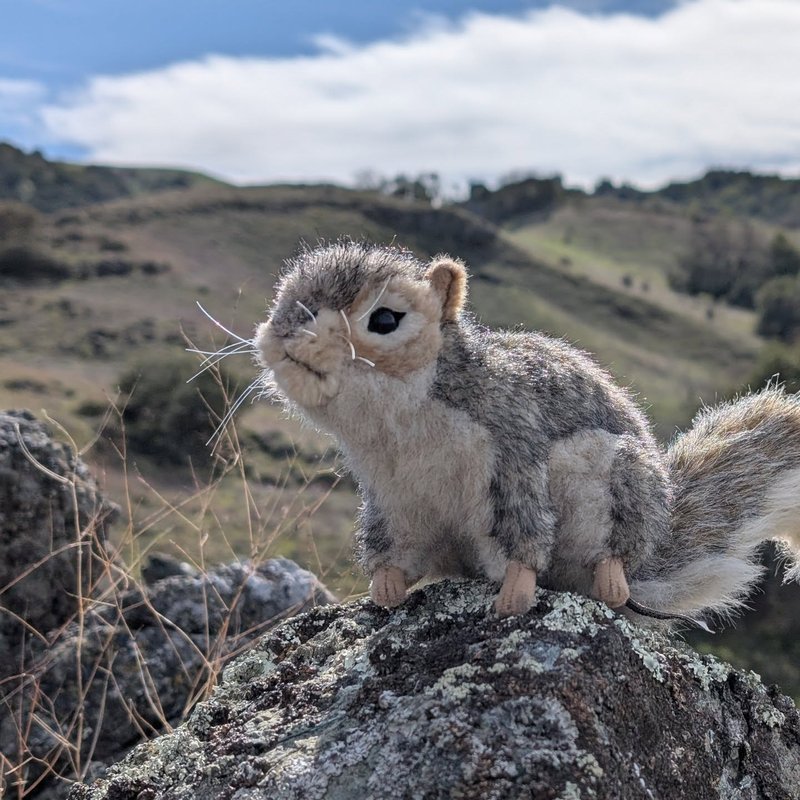 Pineseeker adventure