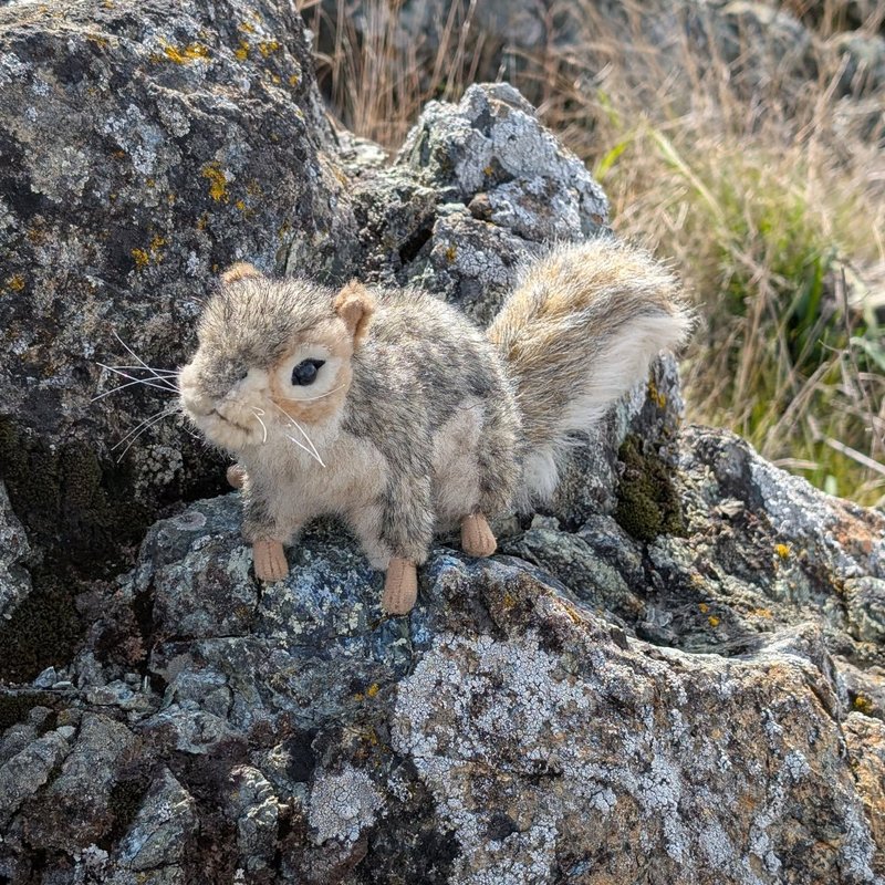 Pineseeker adventure