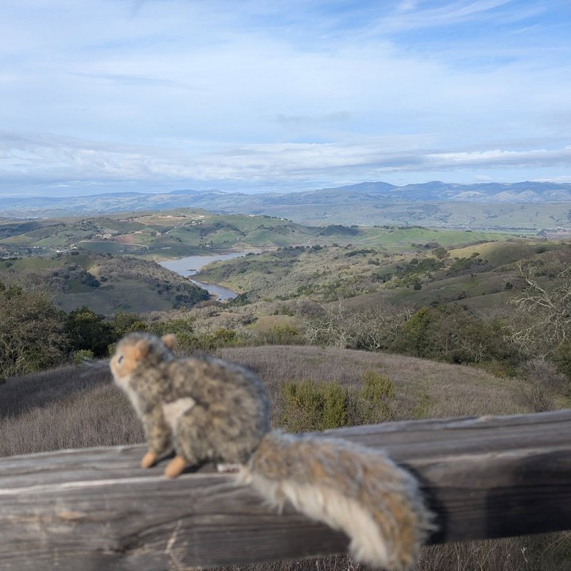 Pineseeker adventure