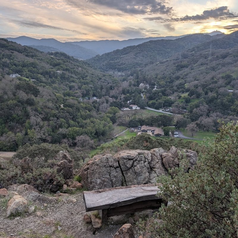 Pineseeker adventure