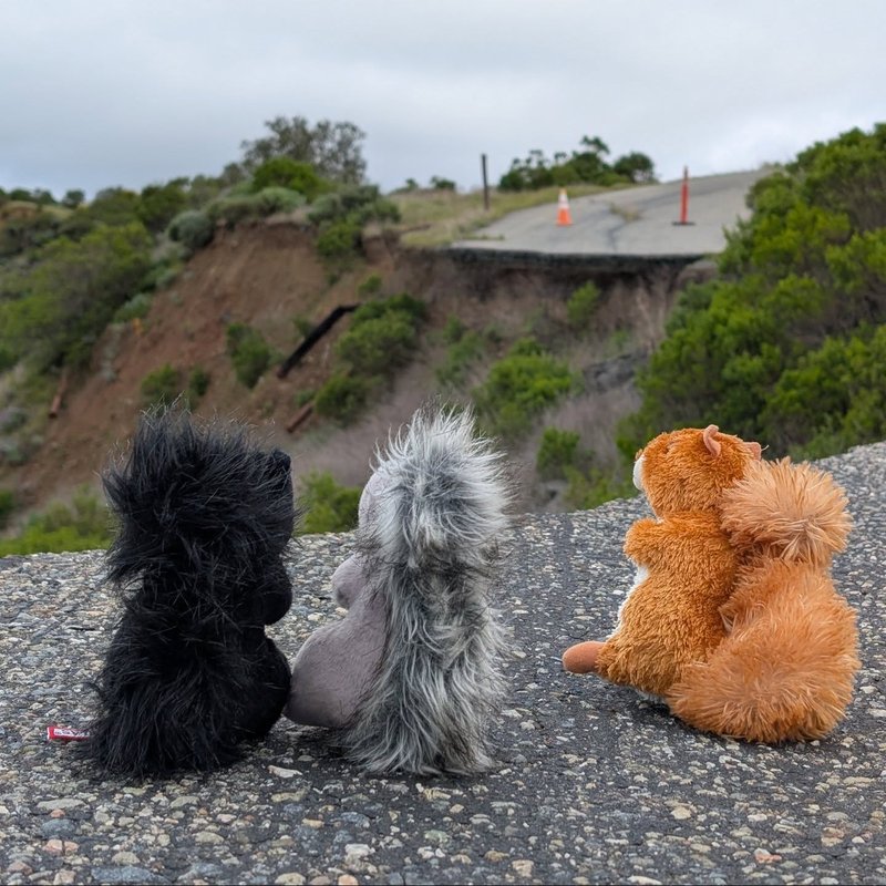 Prospector adventure