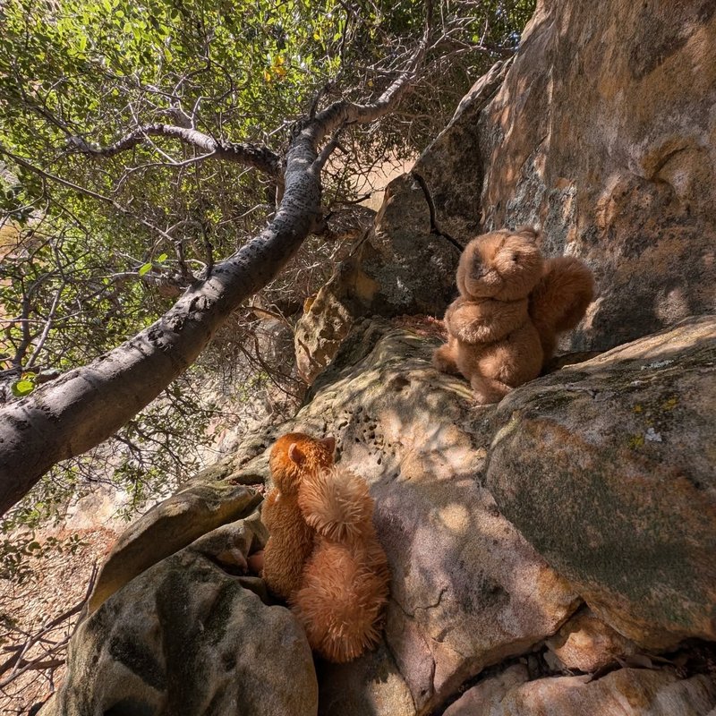 Prospector adventure