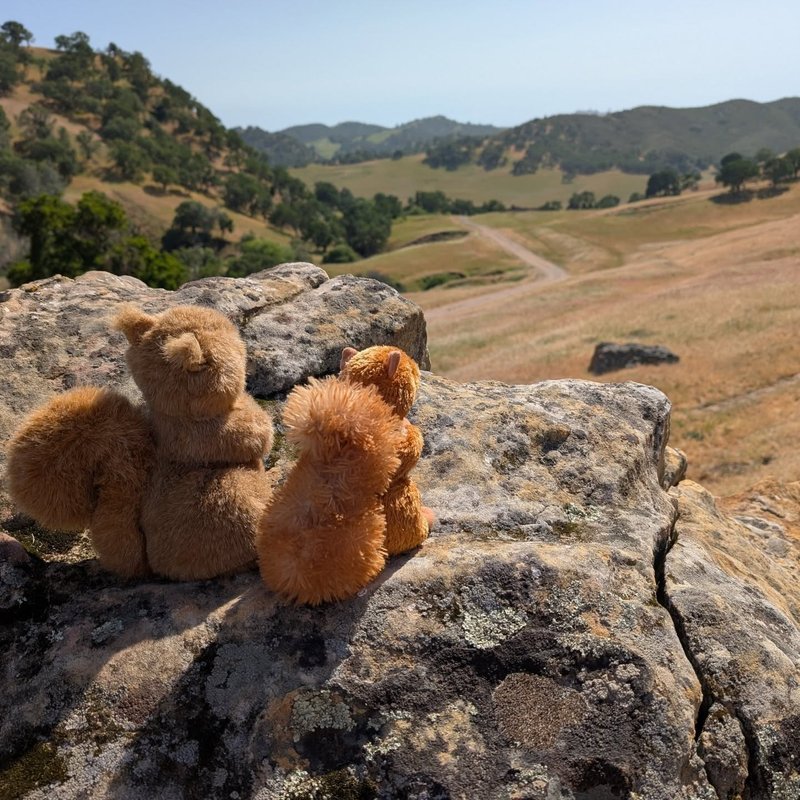 Prospector adventure