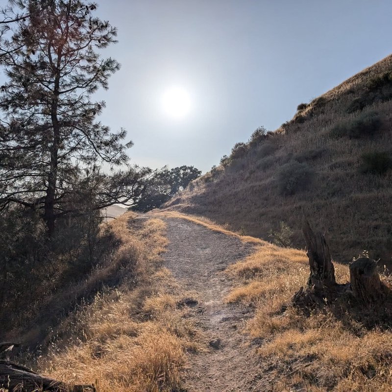 Prospector adventure