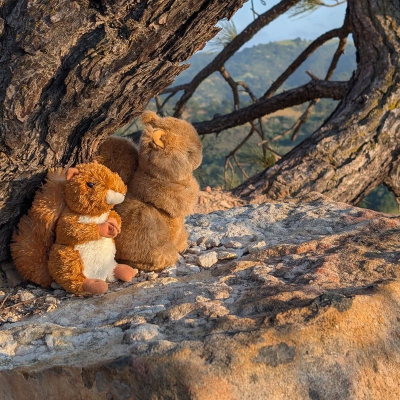 Prospector adventure