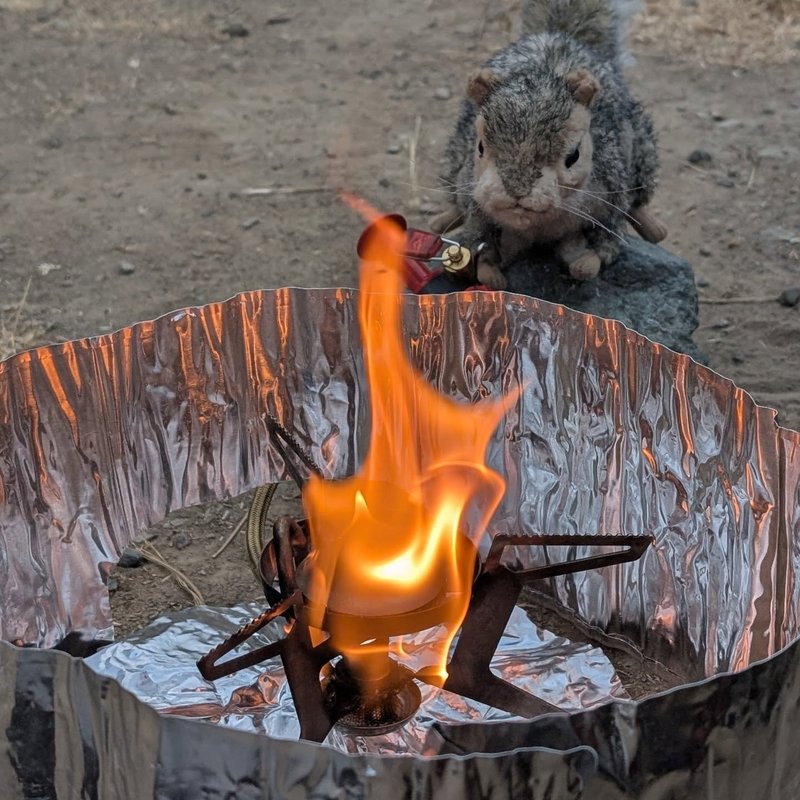 Pineseeker adventure