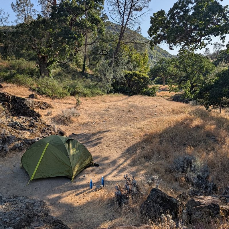 Pineseeker adventure