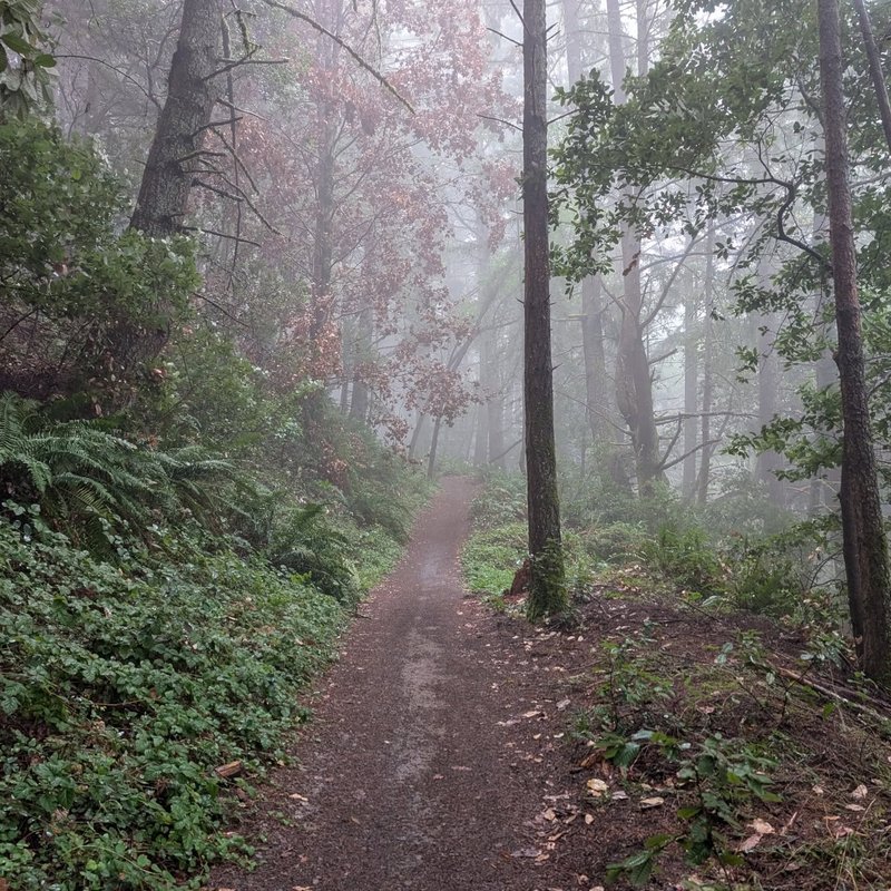 Prospector adventure