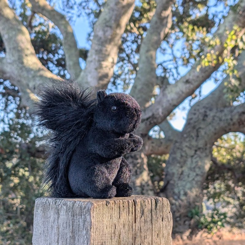 Sir Douglas adventure