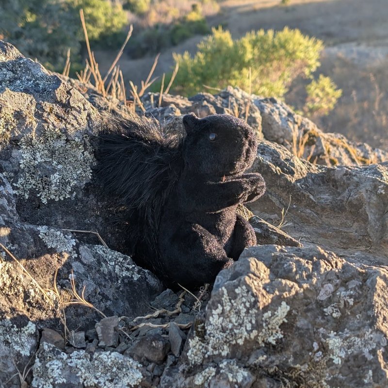 Sir Douglas adventure