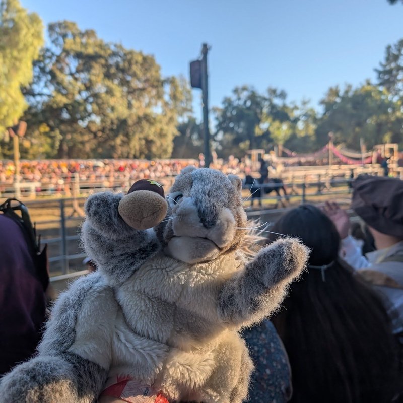 Stuffed squirrel adventure