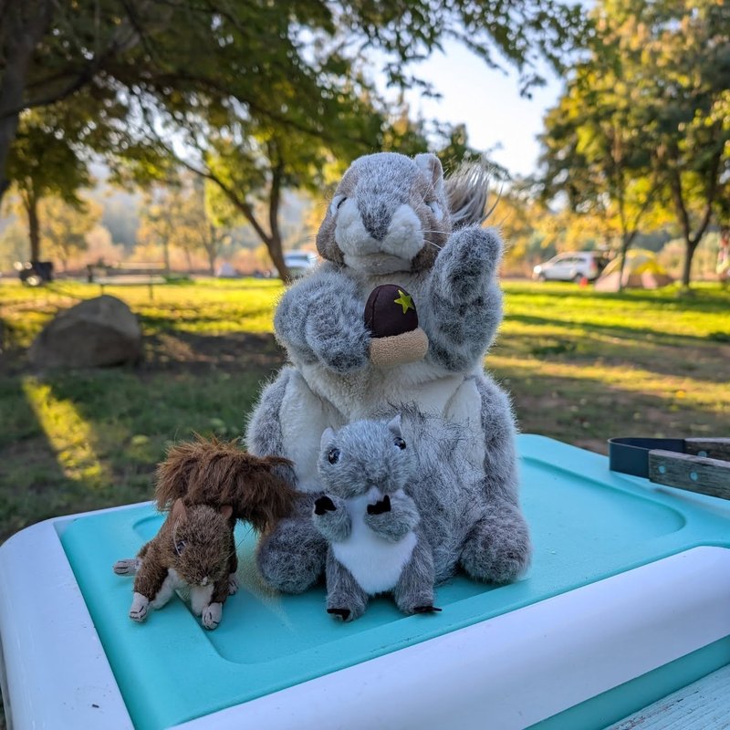 Stuffed squirrel adventure