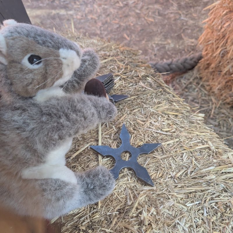 Stuffed squirrel adventure