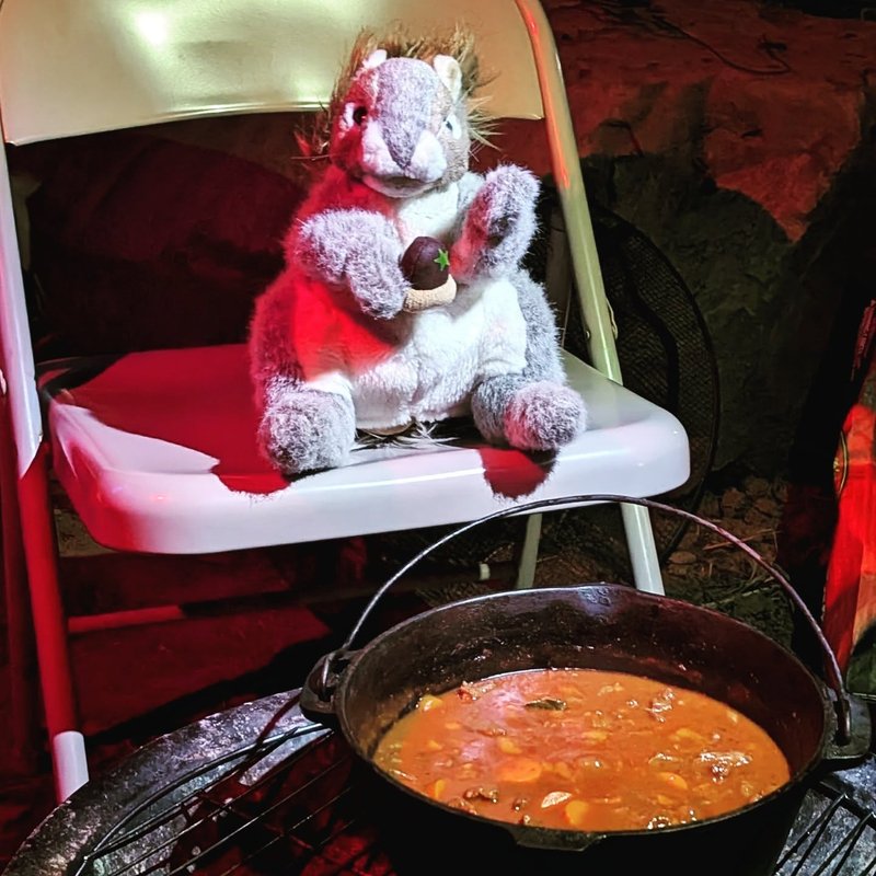 Stuffed squirrel adventure