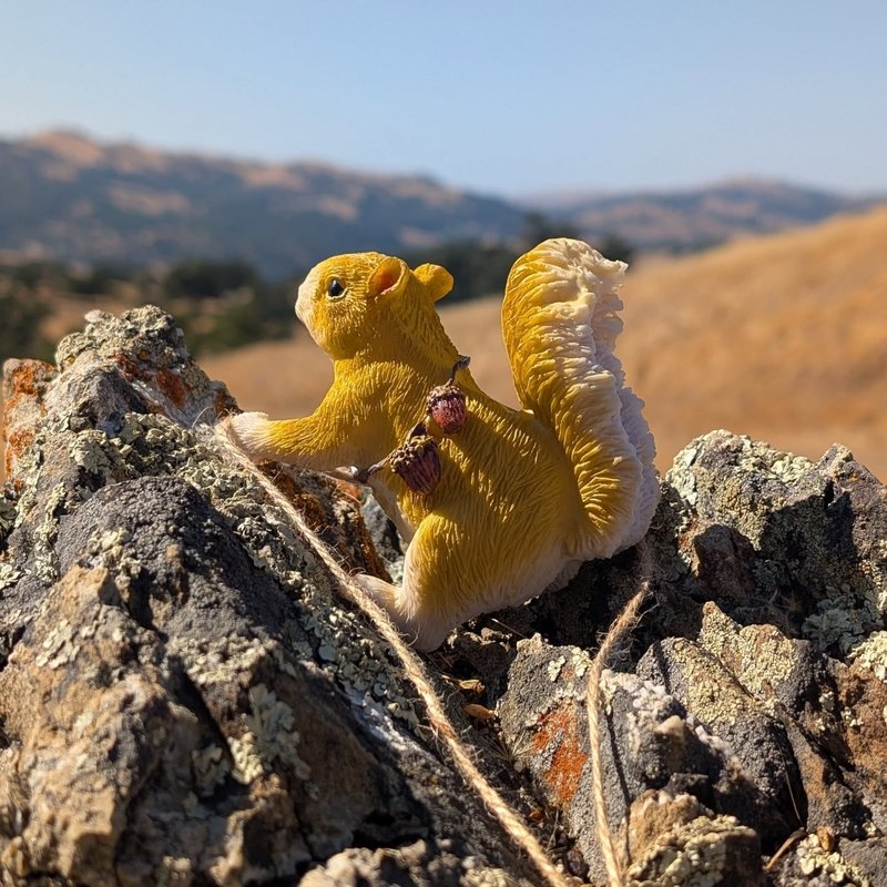 Stuffed squirrel adventure