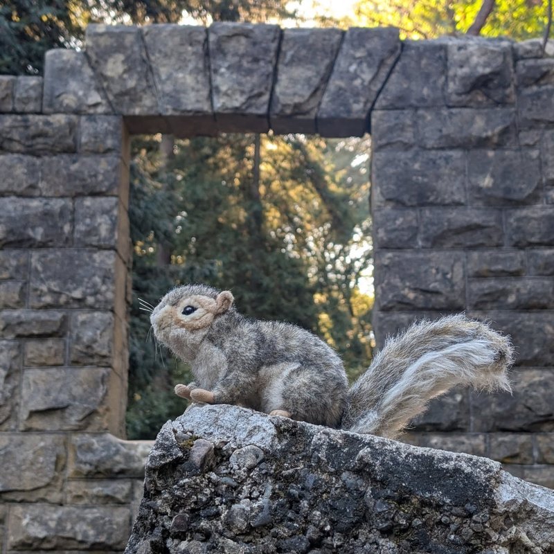 Stuffed squirrel adventure
