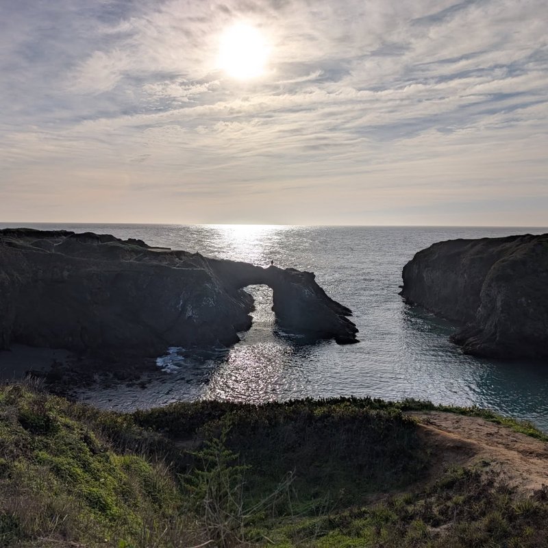 Stuffed squirrel adventure