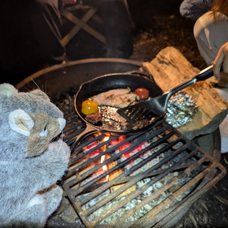 Stuffed squirrel adventure