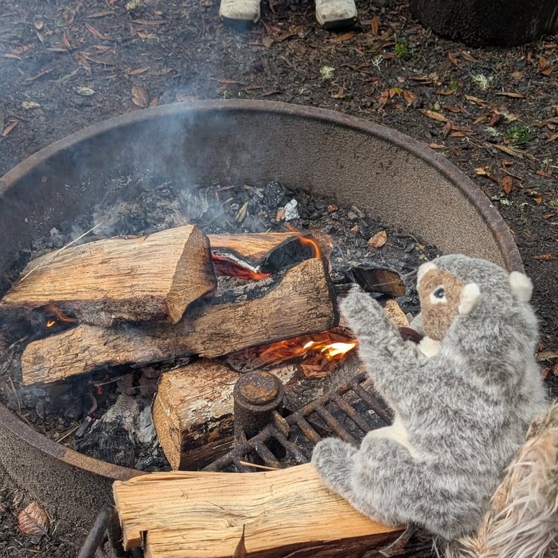 Stuffed squirrel adventure