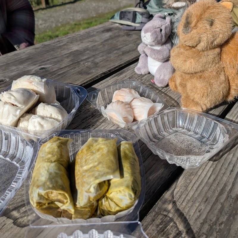 Stuffed squirrel adventure