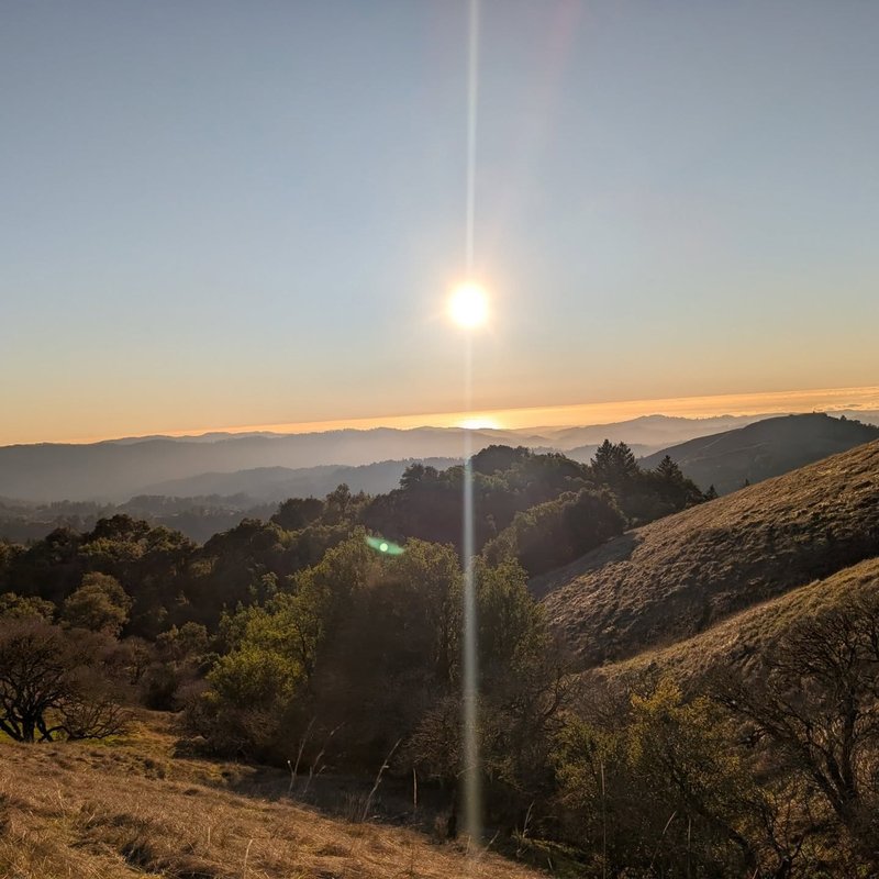 Stuffed squirrel adventure