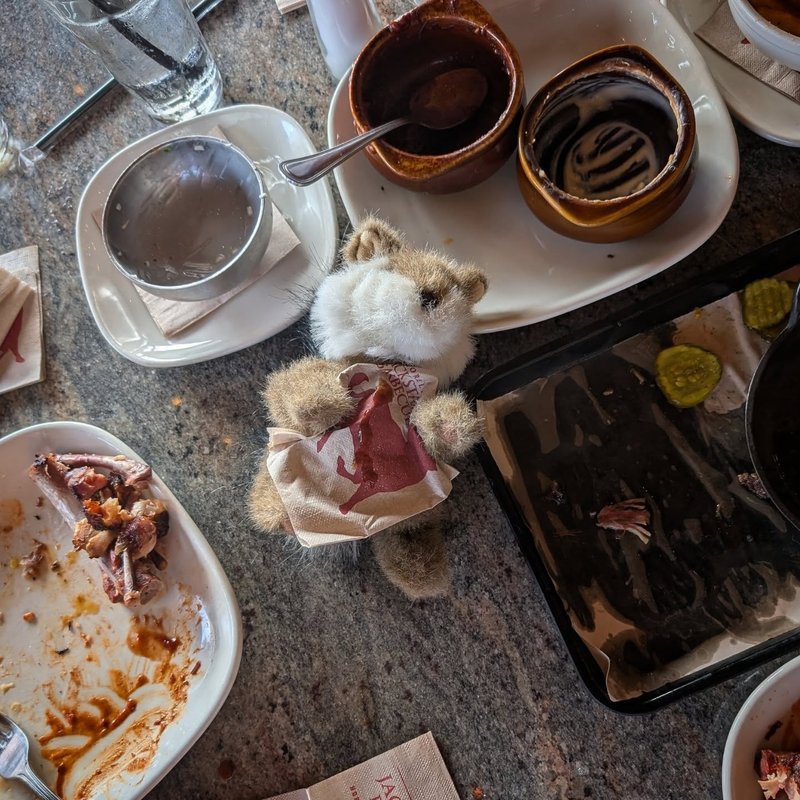 Stuffed squirrel adventure