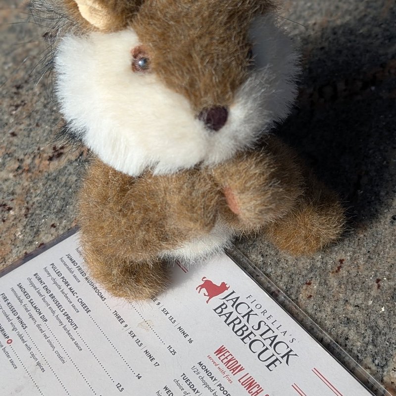 Stuffed squirrel adventure