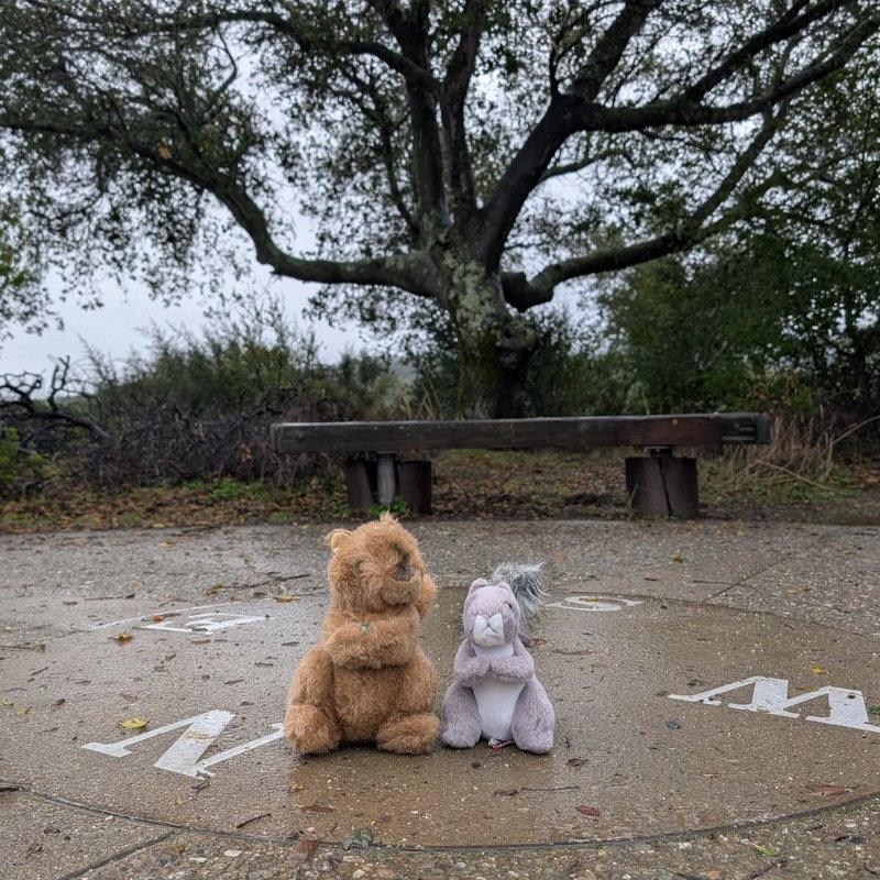 Lady Douglas adventure