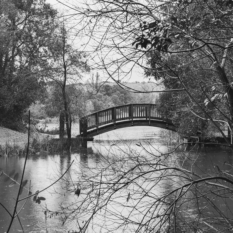 Lady Douglas adventure